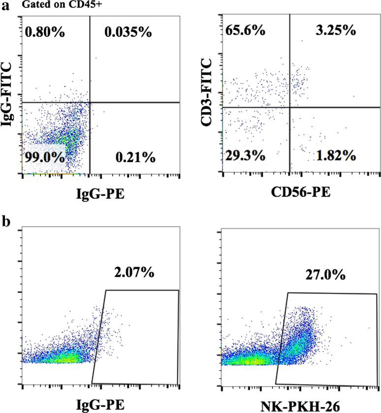 Fig. 2