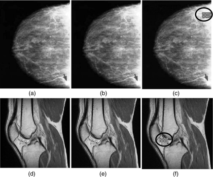 Fig. 5.