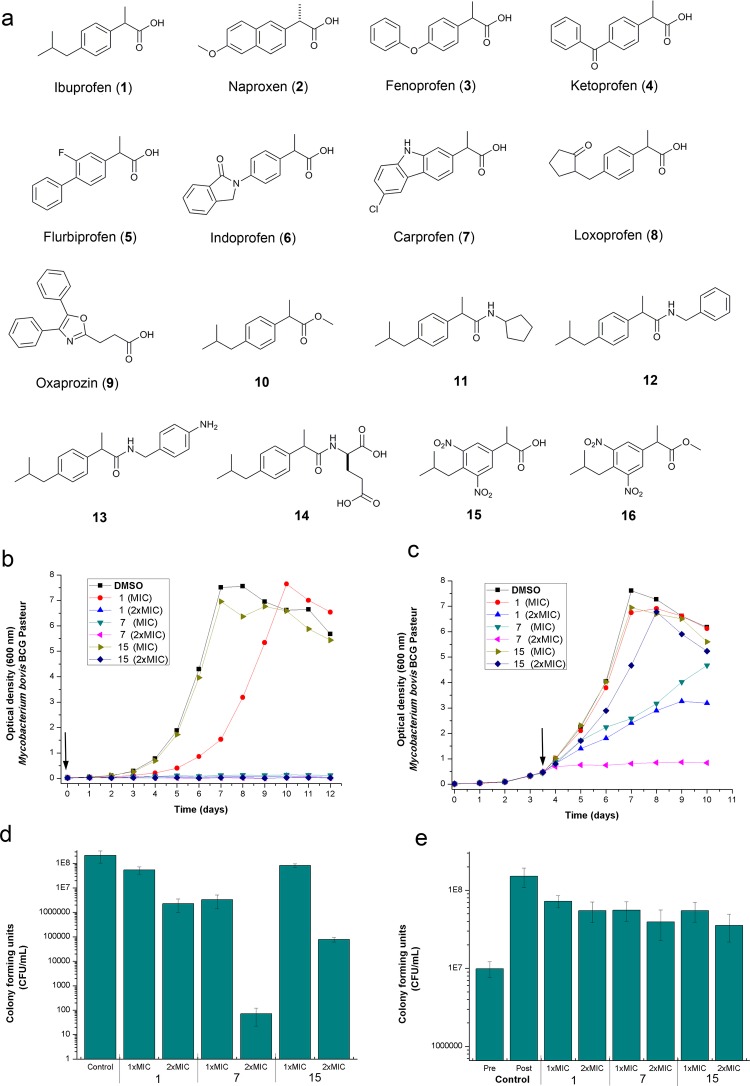 Figure 2