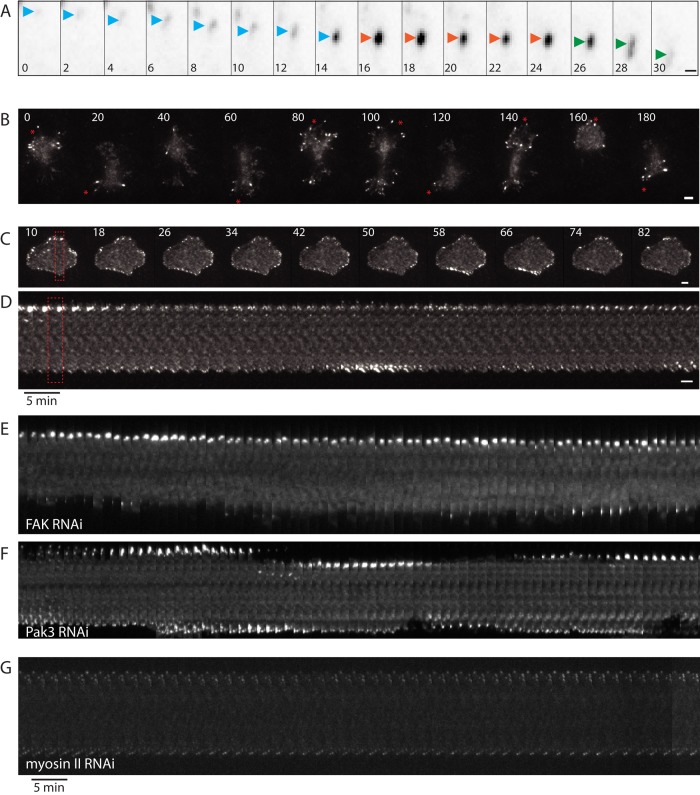 FIGURE 4: