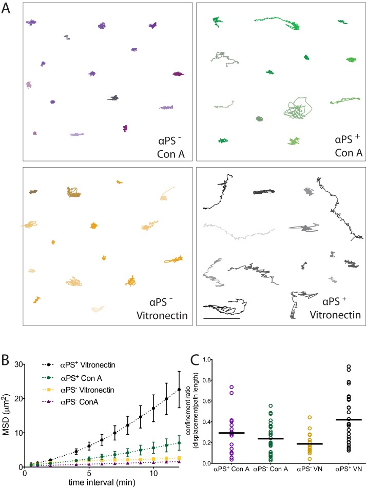 FIGURE 2: