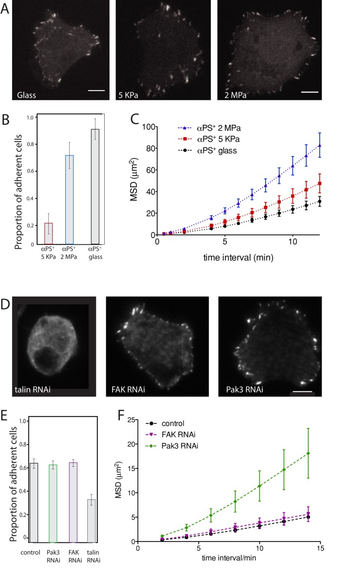 FIGURE 3: