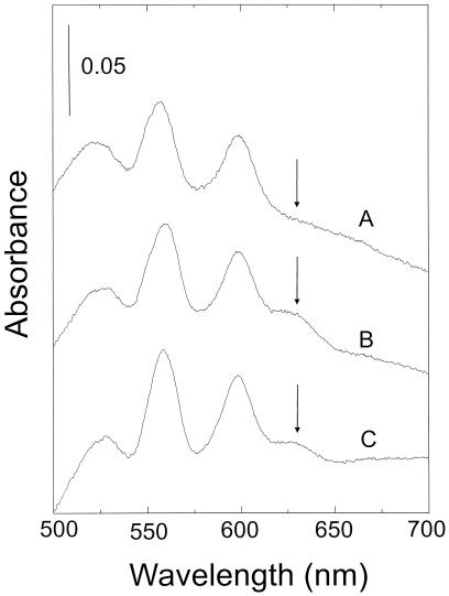 FIG. 5