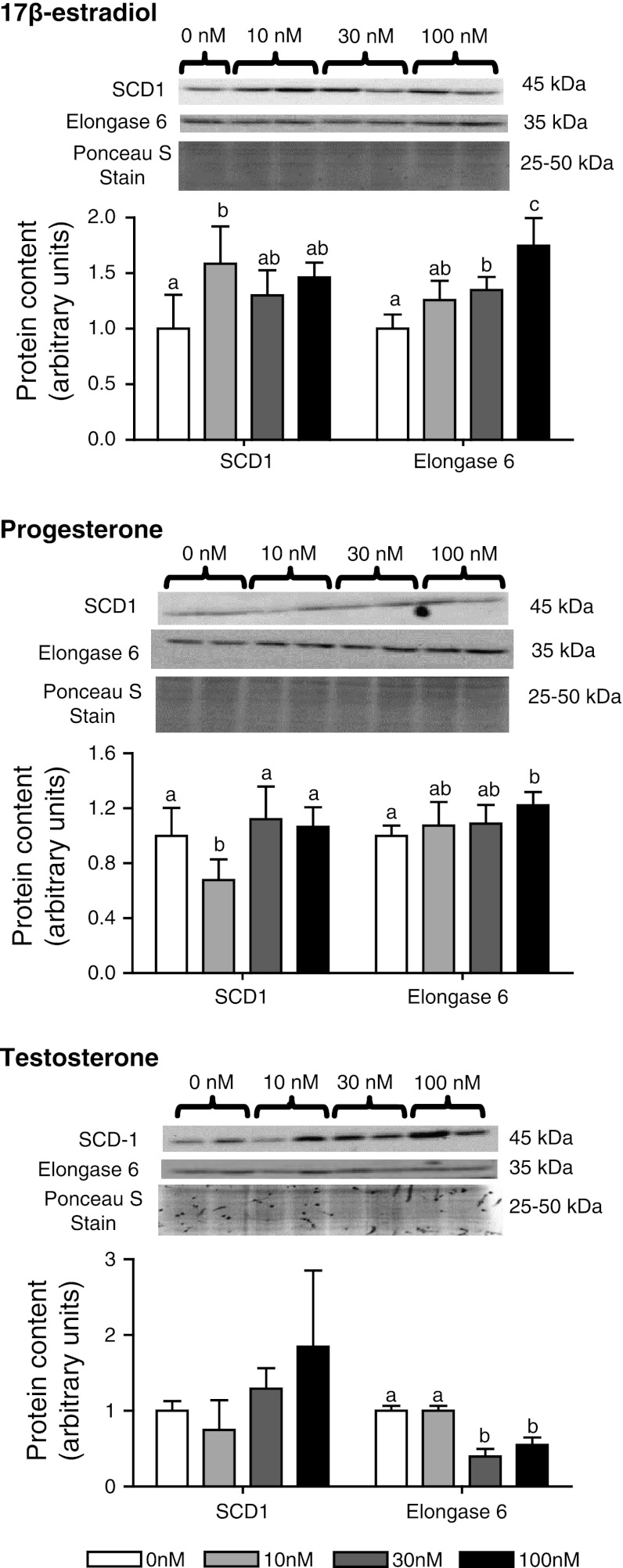 Fig. 4