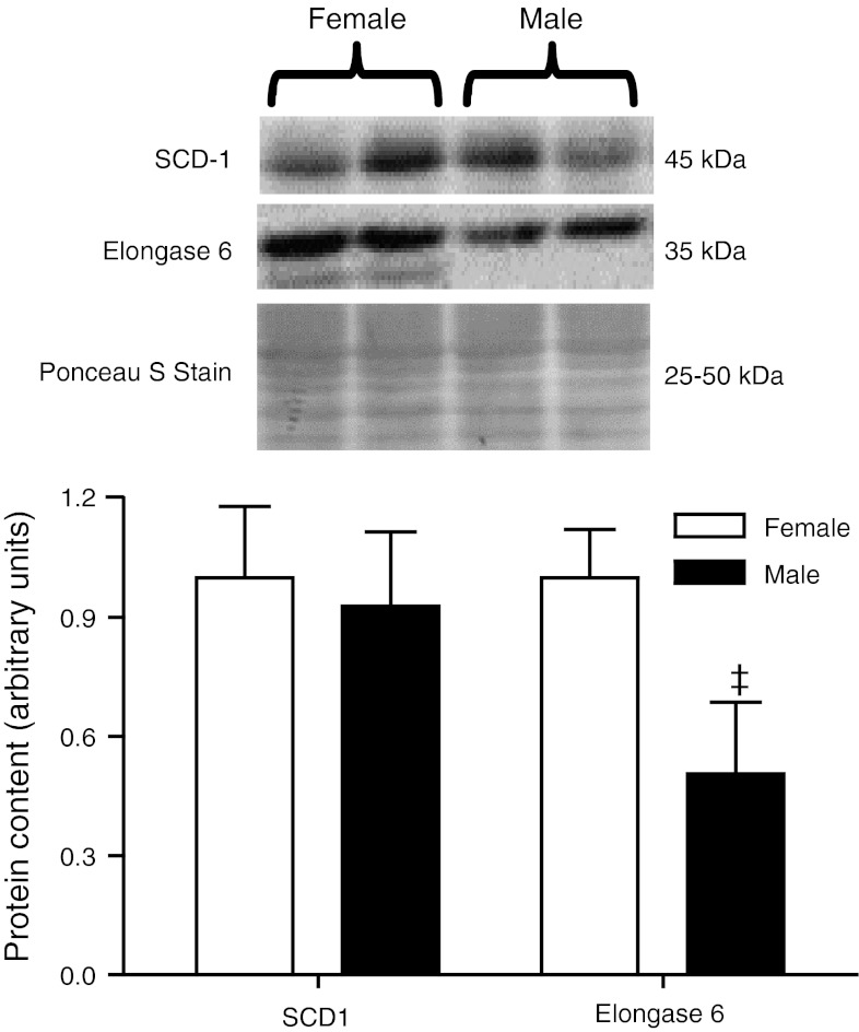 Fig. 3