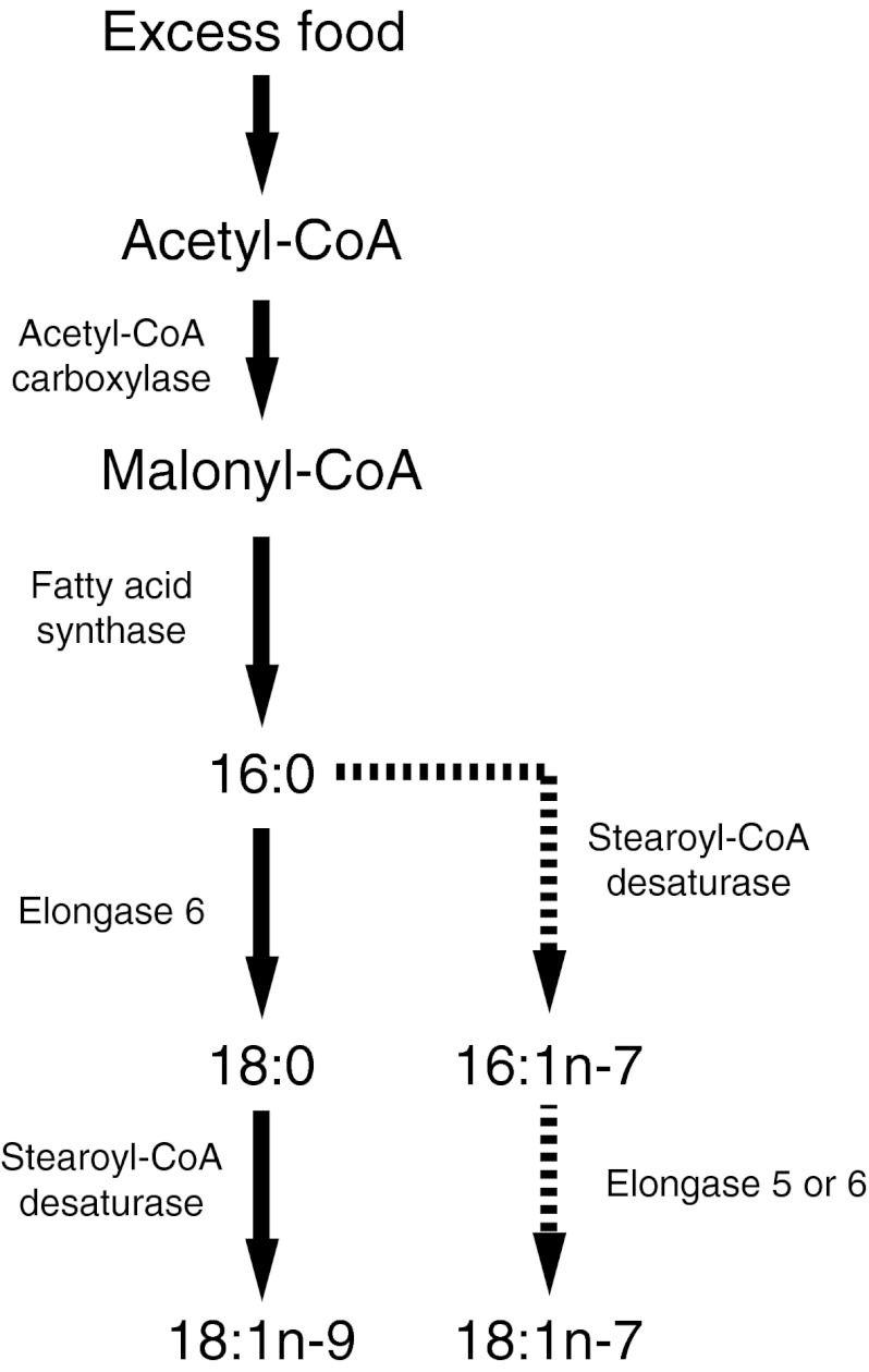 Fig. 1