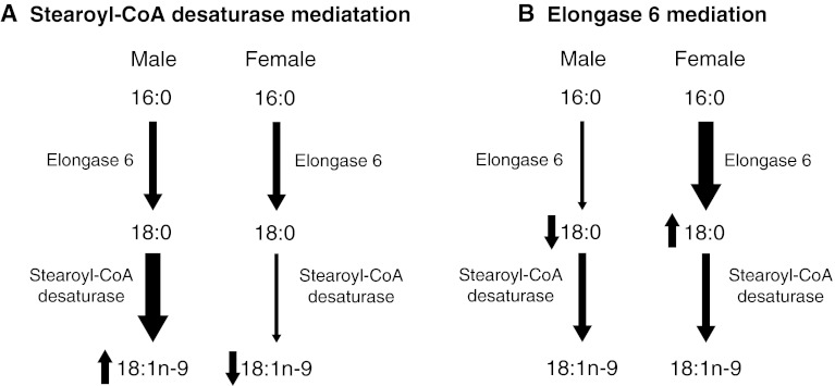 Fig. 5