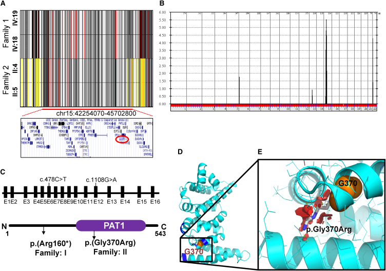 Figure 2