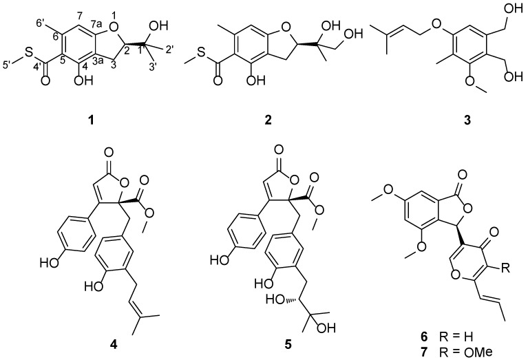 Scheme I