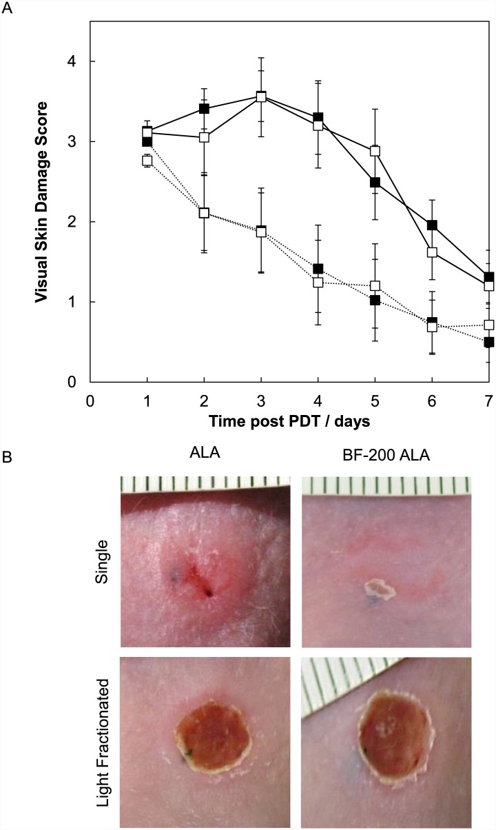 Fig 5