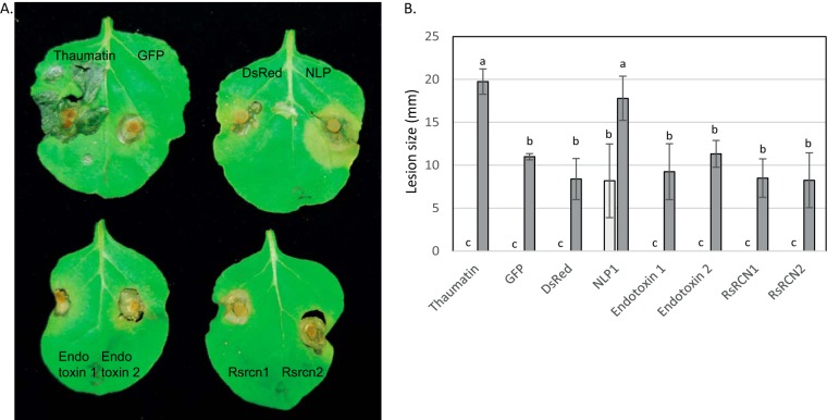 Fig. 6.