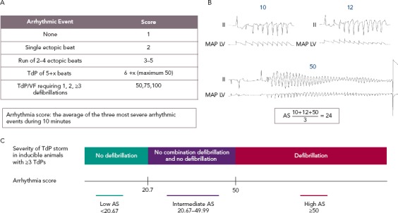 Figure 2: