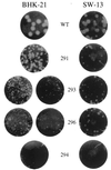 FIG. 6