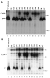 FIG. 7