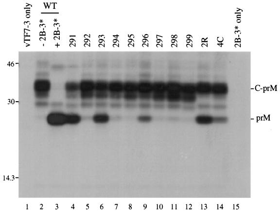 FIG. 5