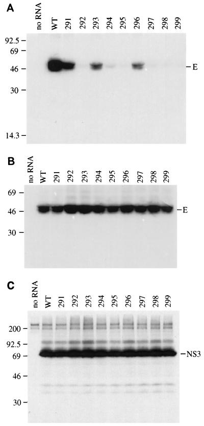 FIG. 8