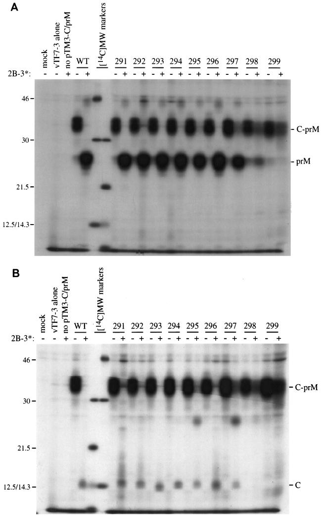 FIG. 3