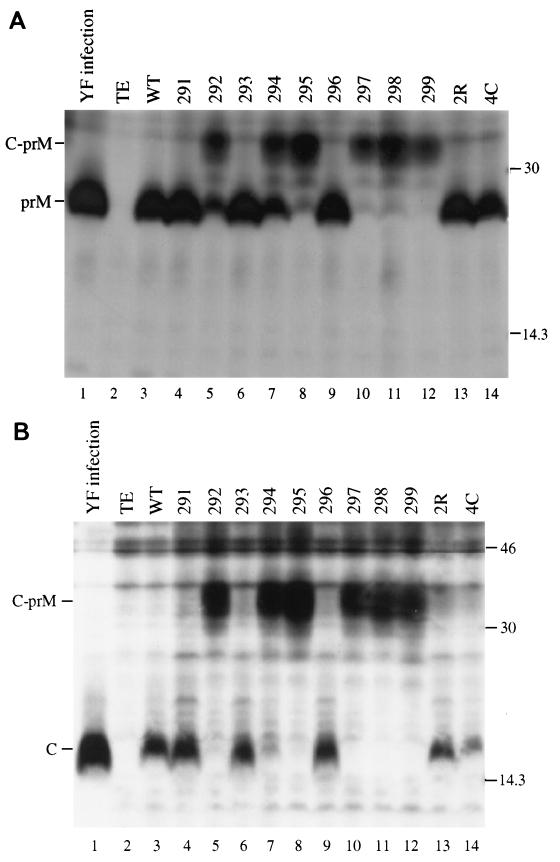 FIG. 7