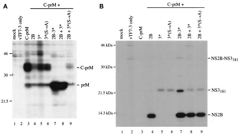 FIG. 4