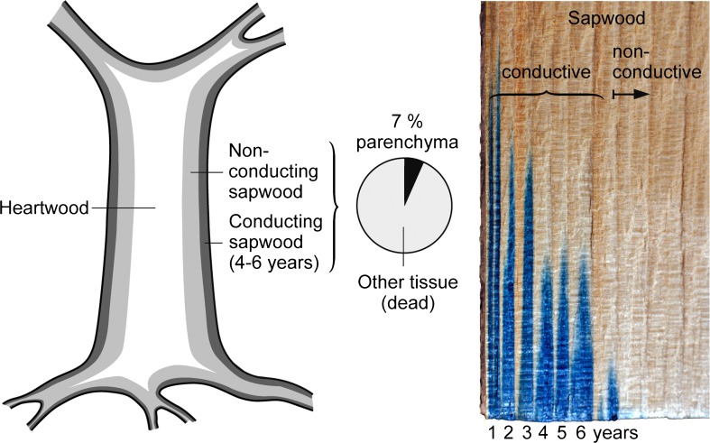 Fig. 4