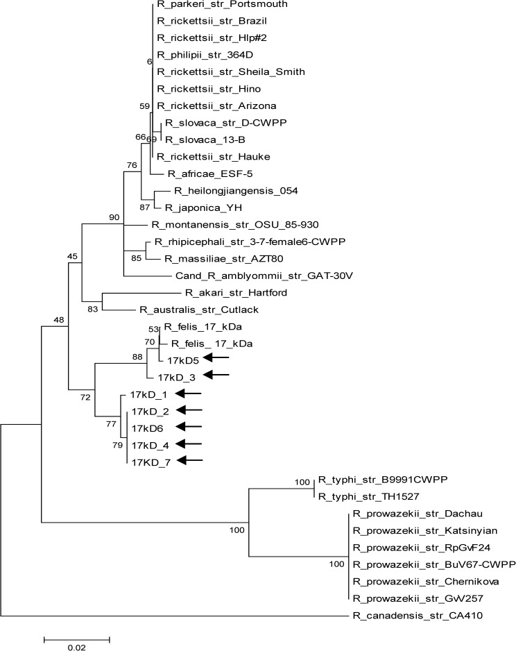 Figure 3.