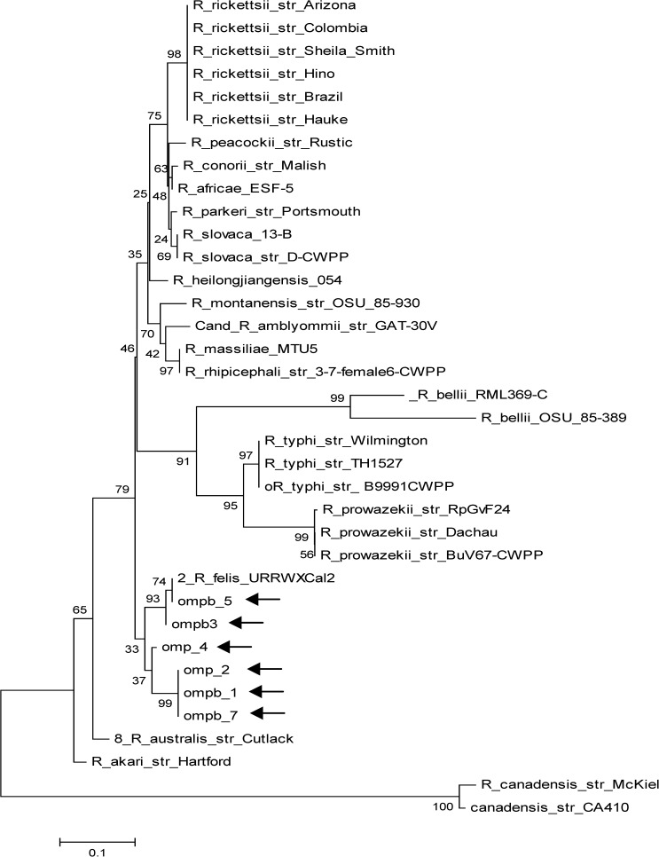 Figure 2.