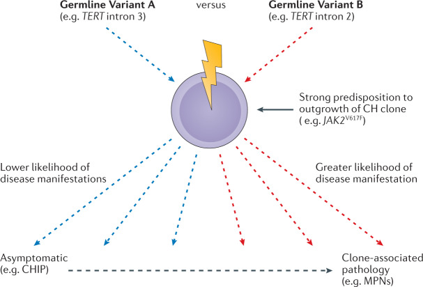 Box 1 Germline variants can associate with the same somatic lesion but different levels of phenotypic risk