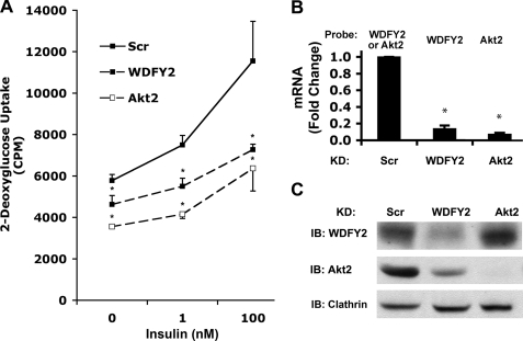 FIGURE 1.