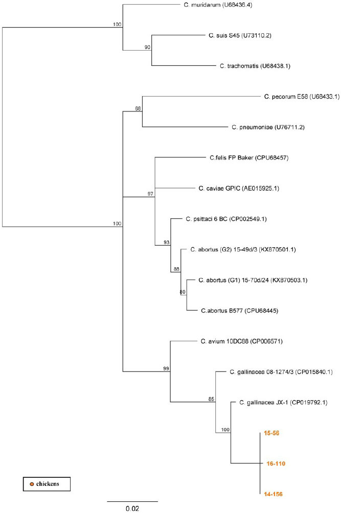 Fig. 3