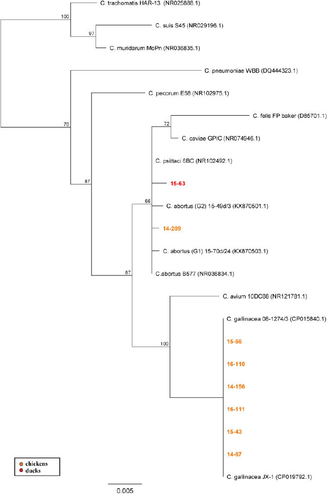 Fig. 2