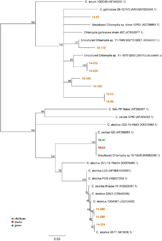 Fig. 4