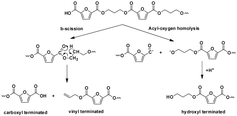 Scheme 3