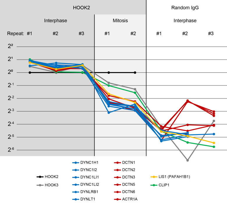 Figure 4—figure supplement 1.