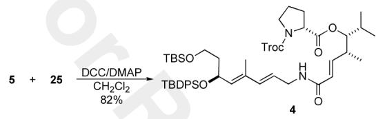 Scheme 5