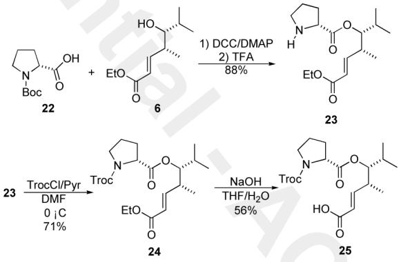 Scheme 4