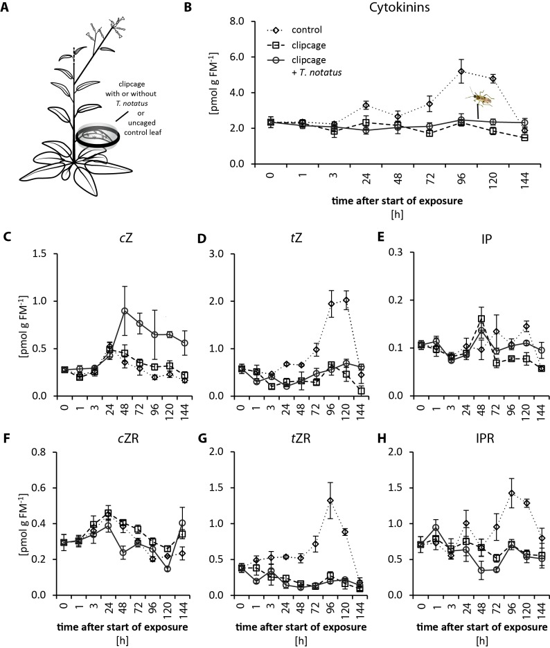 Figure 3—figure supplement 3.