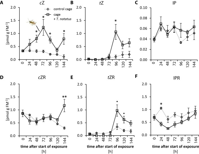 Figure 3—figure supplement 2.