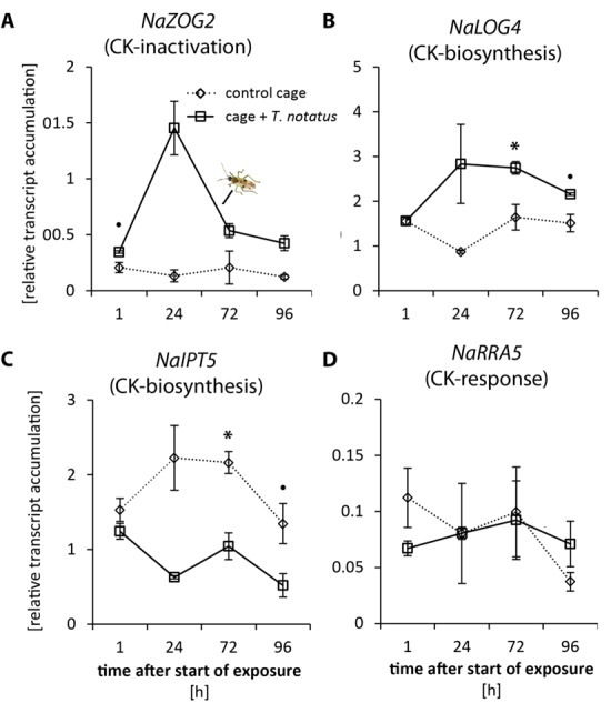 Figure 3—figure supplement 1.