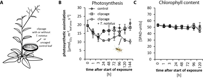 Figure 2—figure supplement 1.