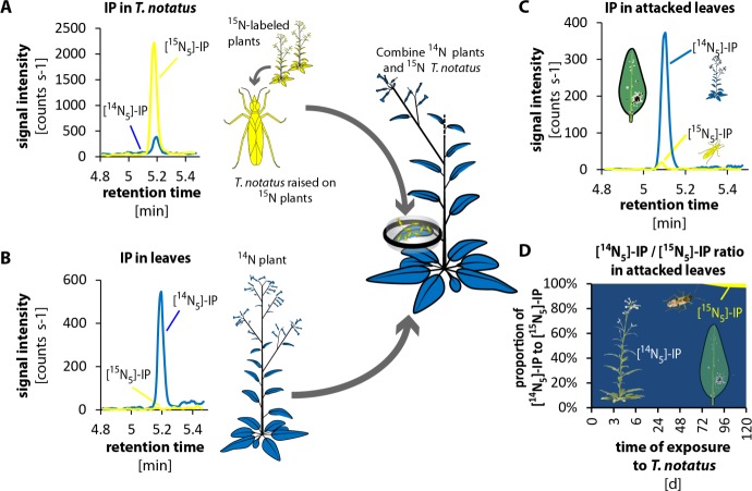 Figure 4—figure supplement 2.