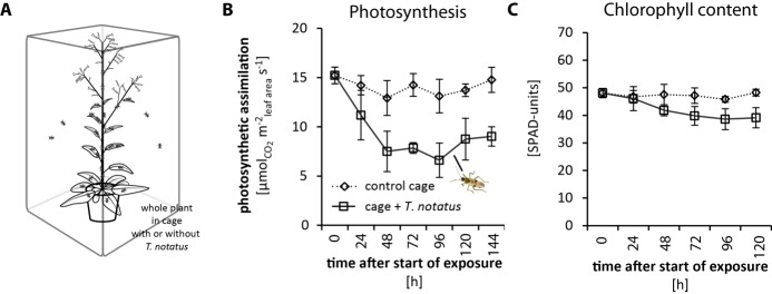 Figure 2—figure supplement 3.