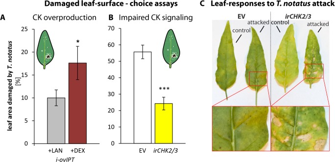 Figure 6.