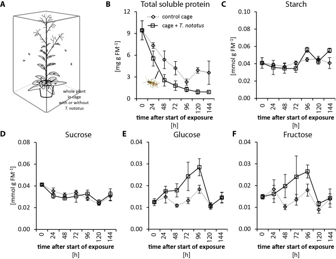 Figure 2—figure supplement 2.