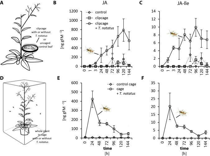 Figure 1—figure supplement 1.