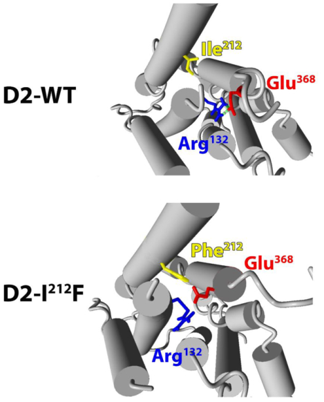 graphic file with name nihms-1708496-f0001.jpg