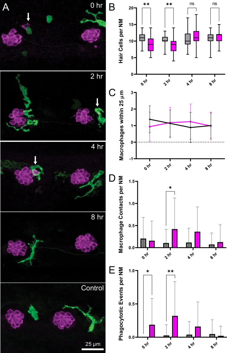 Figure 6.