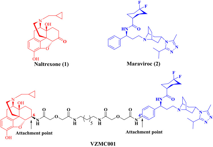 Figure 1.