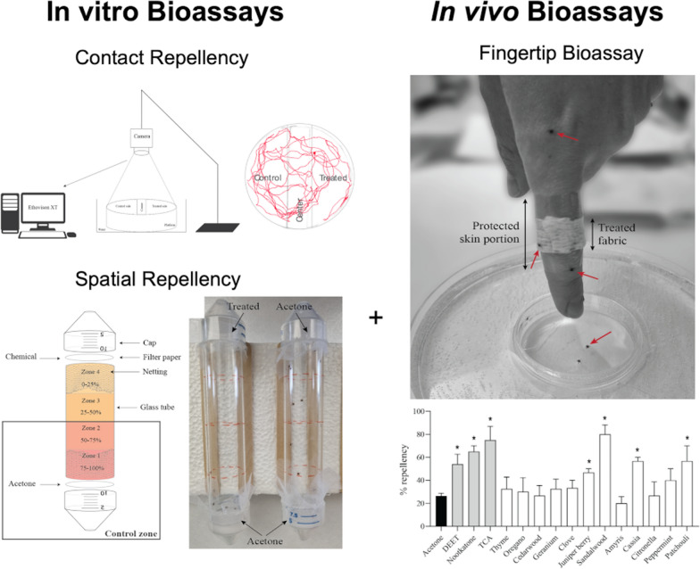 graphic file with name 13071_2024_6246_Figa_HTML.jpg