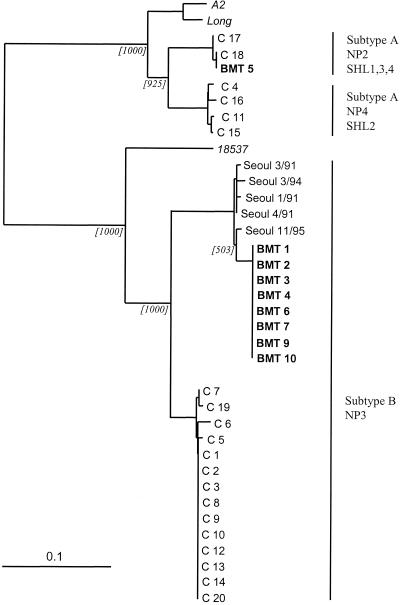 FIG. 1