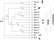 Figure 2.